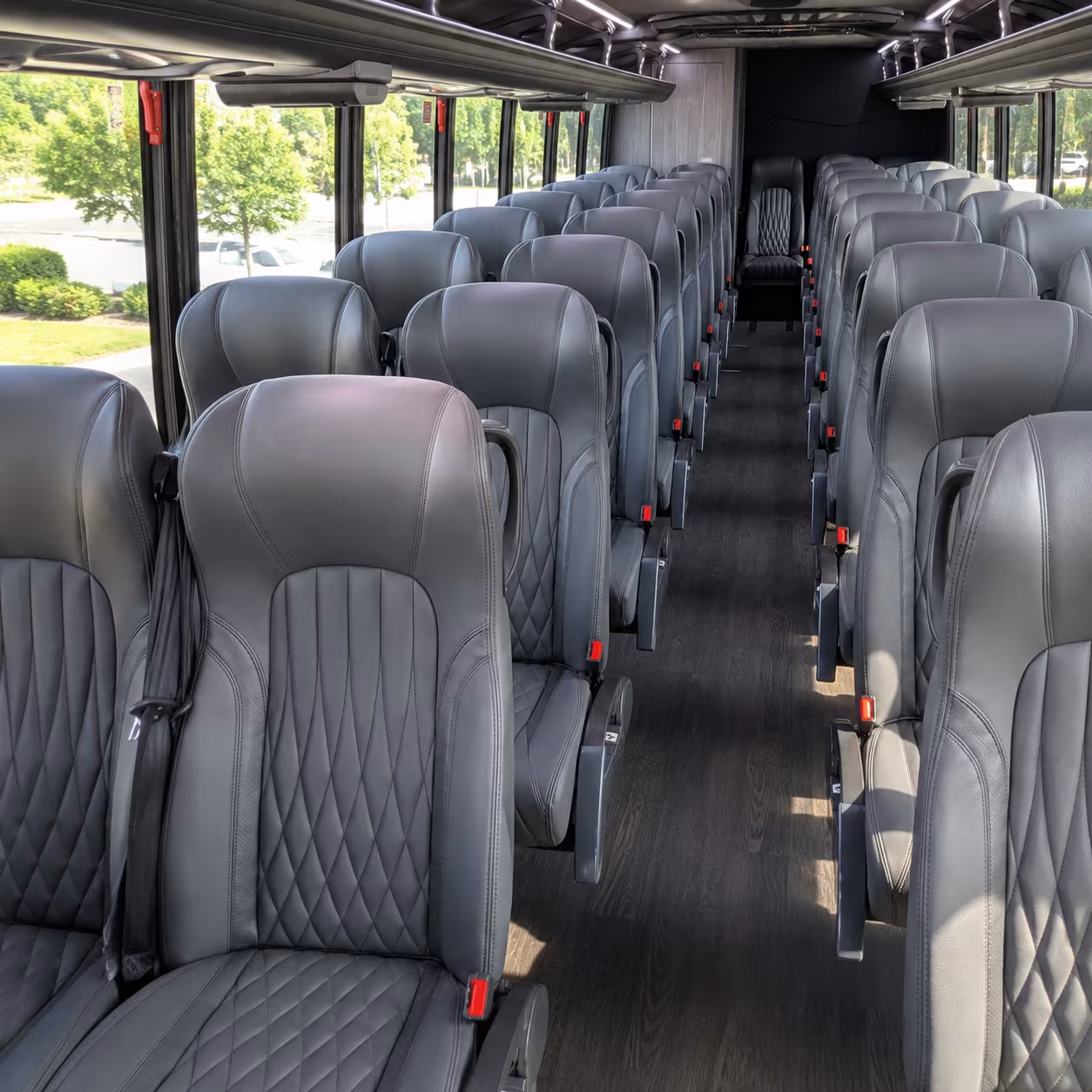 vacaville birthday party transportation onboard seating